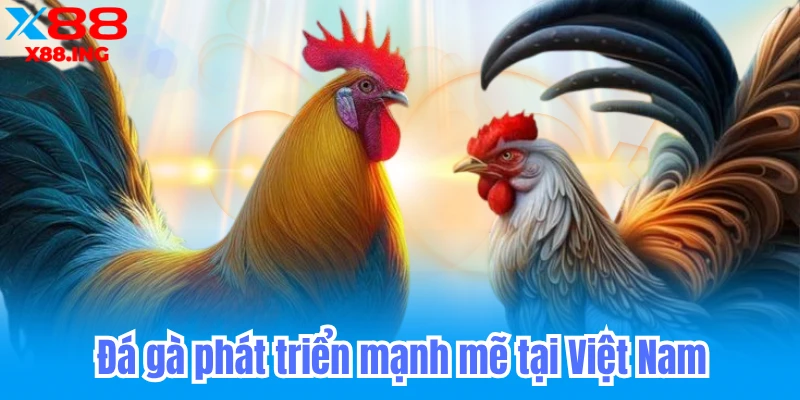 đá gà online tại nhà cái x88